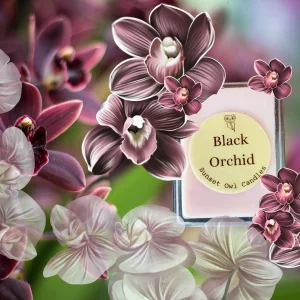 Black Orchid