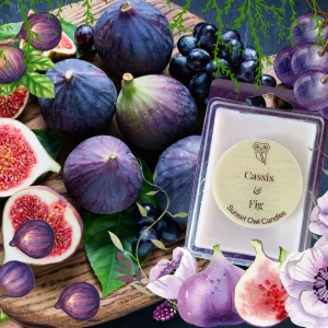 Cassis and Fig
